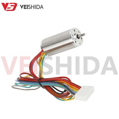 Motor DC Tanpa Teras Mikro