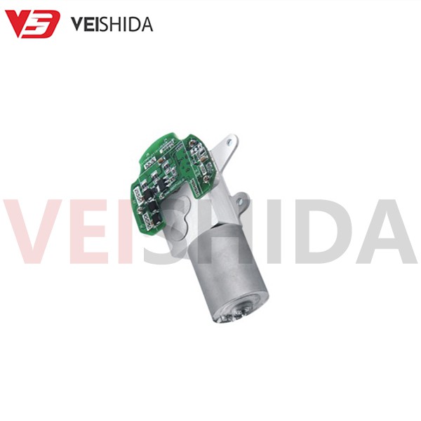 GBW30 - EC2838 Gear Motor12V GBW30 - EC2838 Gear Motor12V